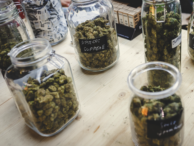 order high-grade weed in Berlin